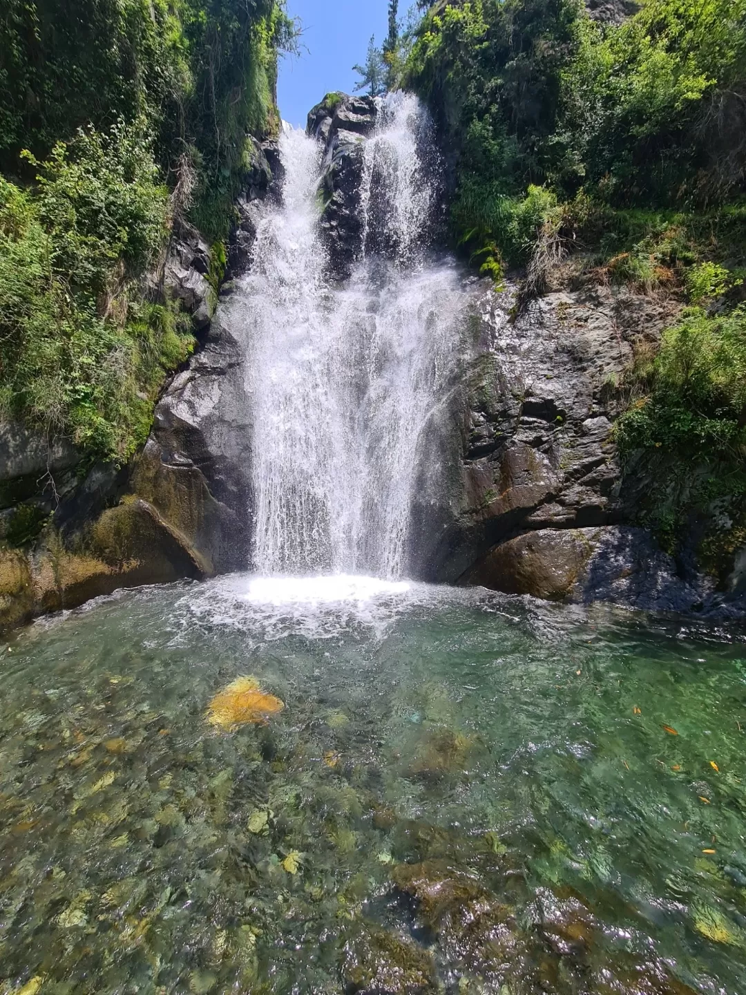 Photo of Barot By Vipin Kr