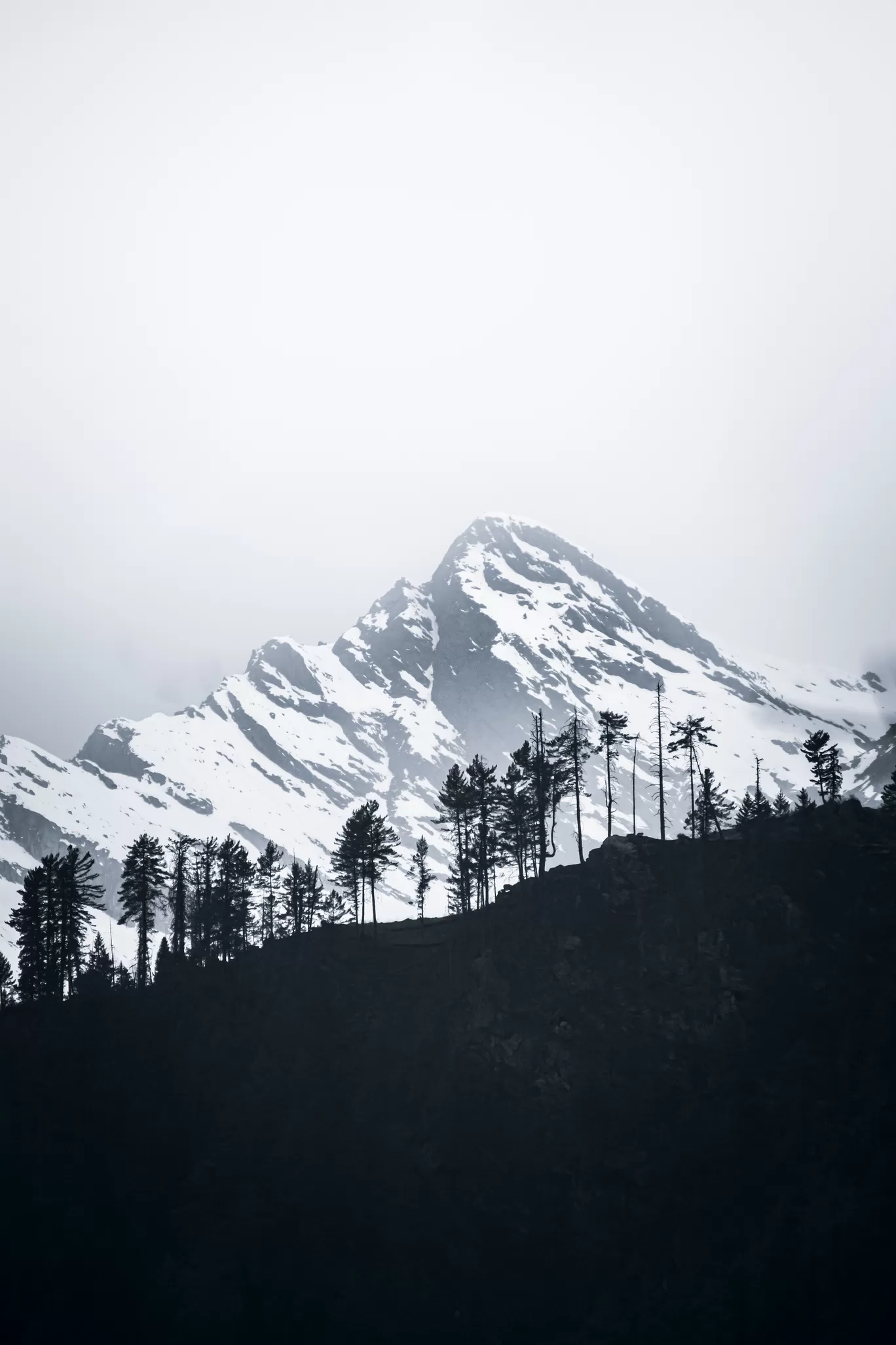 Photo of Kheerganga Trek By Abdullah Saghir Ahmad