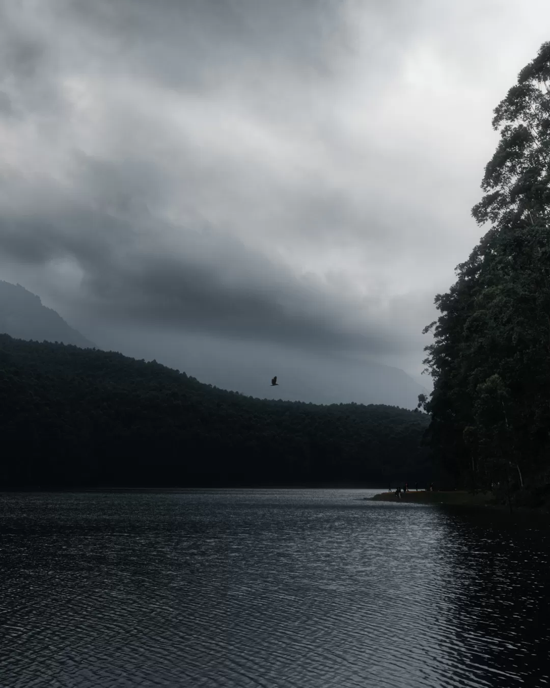 Photo of Munnar By Abdullah Saghir Ahmad