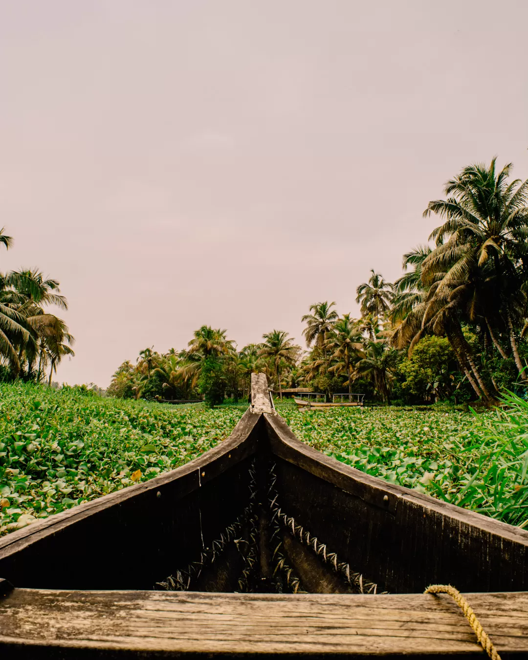 Photo of Kerala By Abdullah Saghir Ahmad