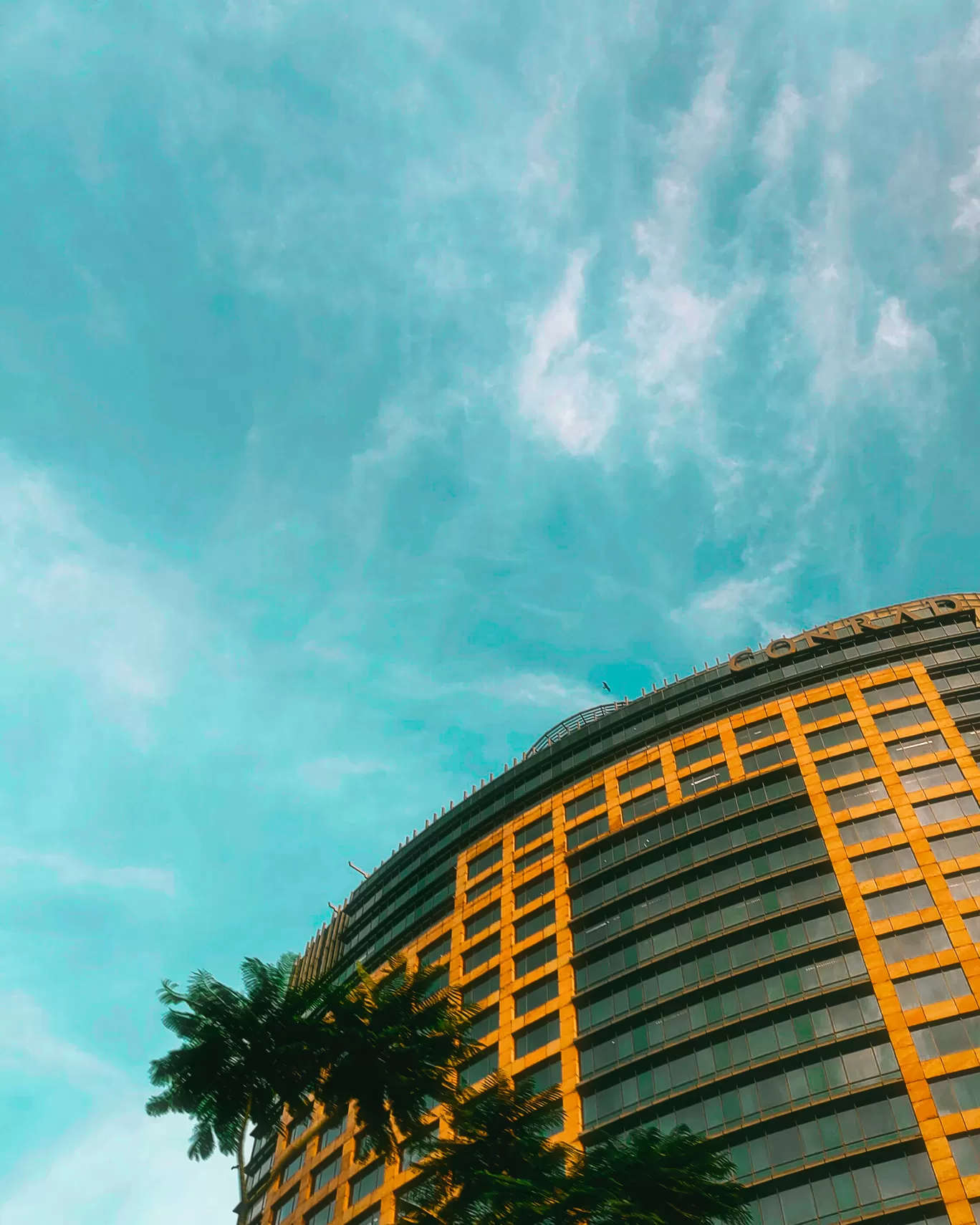 Photo of Bengaluru By Abdullah Saghir Ahmad
