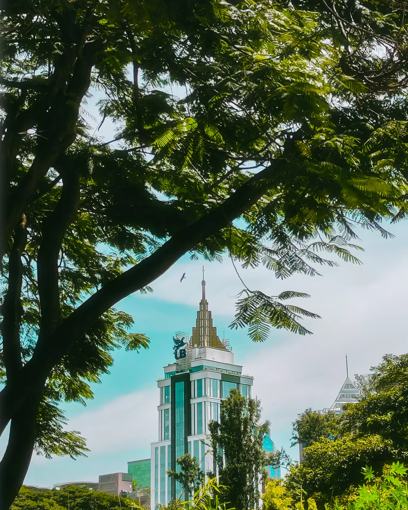 Photo of Bengaluru By Abdullah Saghir Ahmad