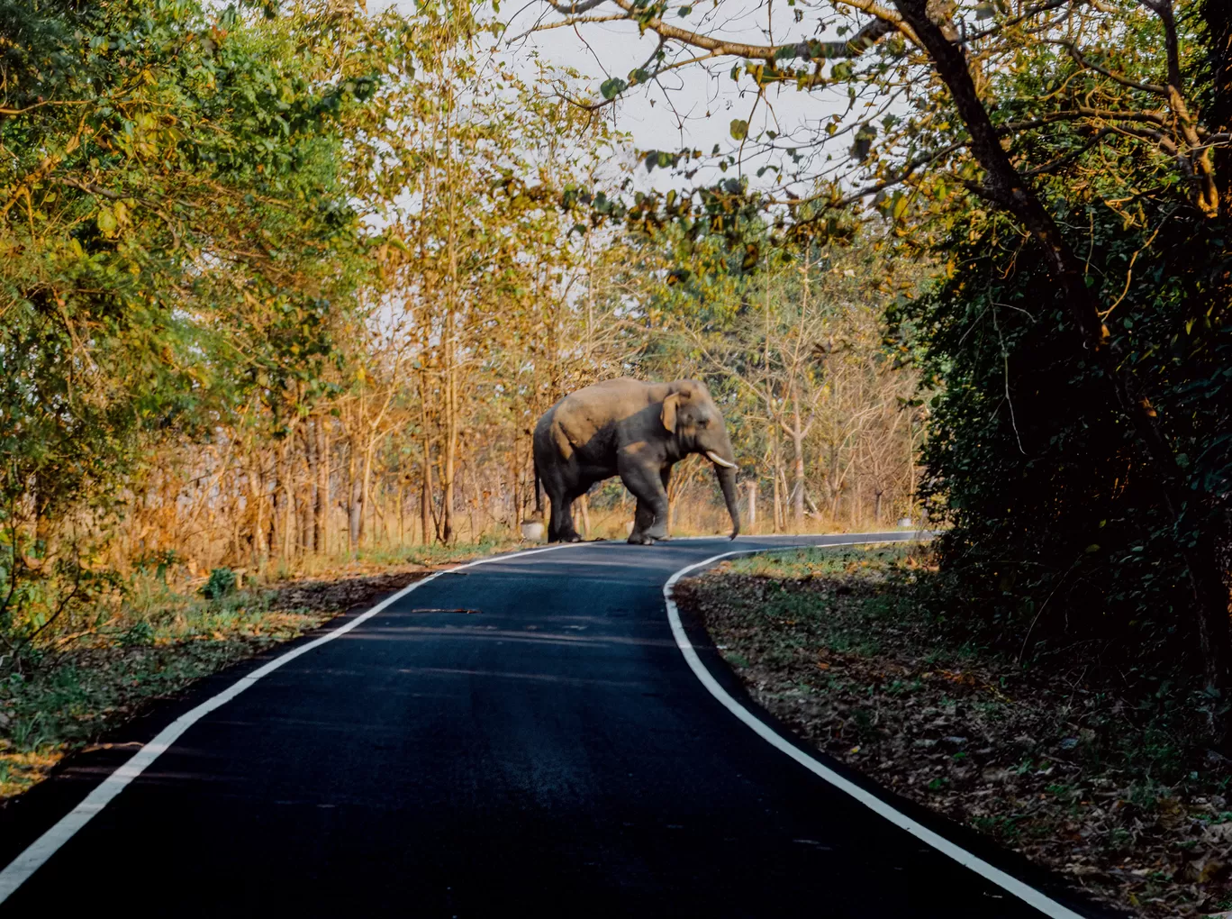 Photo of Katarniaghat Wildlife Sanctuary By Abdullah Saghir Ahmad