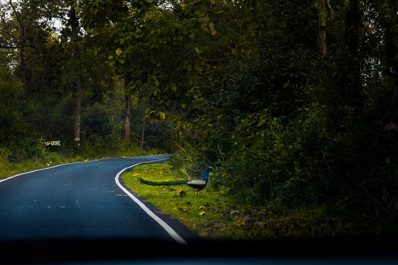 Photo of Katarniaghat Wildlife Sanctuary By Abdullah Saghir Ahmad