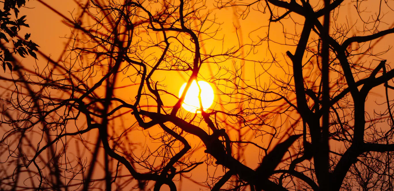 Photo of Kakraha By Abdullah Saghir Ahmad