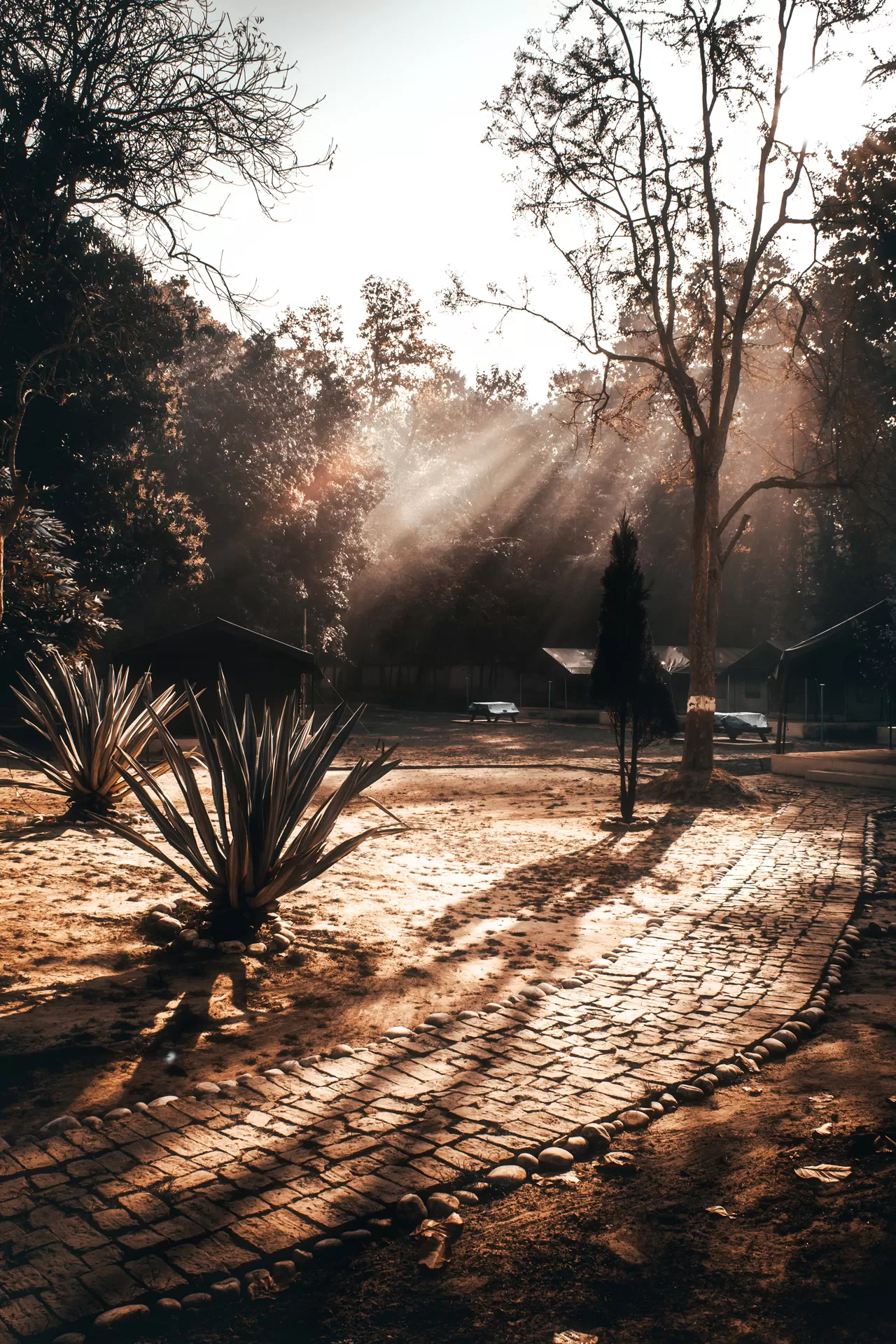 Photo of Kakraha By Abdullah Saghir Ahmad