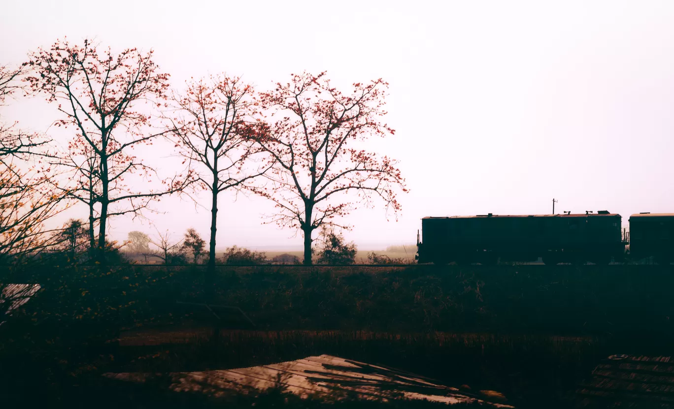 Photo of Katarniaghat Wildlife Sanctuary By Abdullah Saghir Ahmad