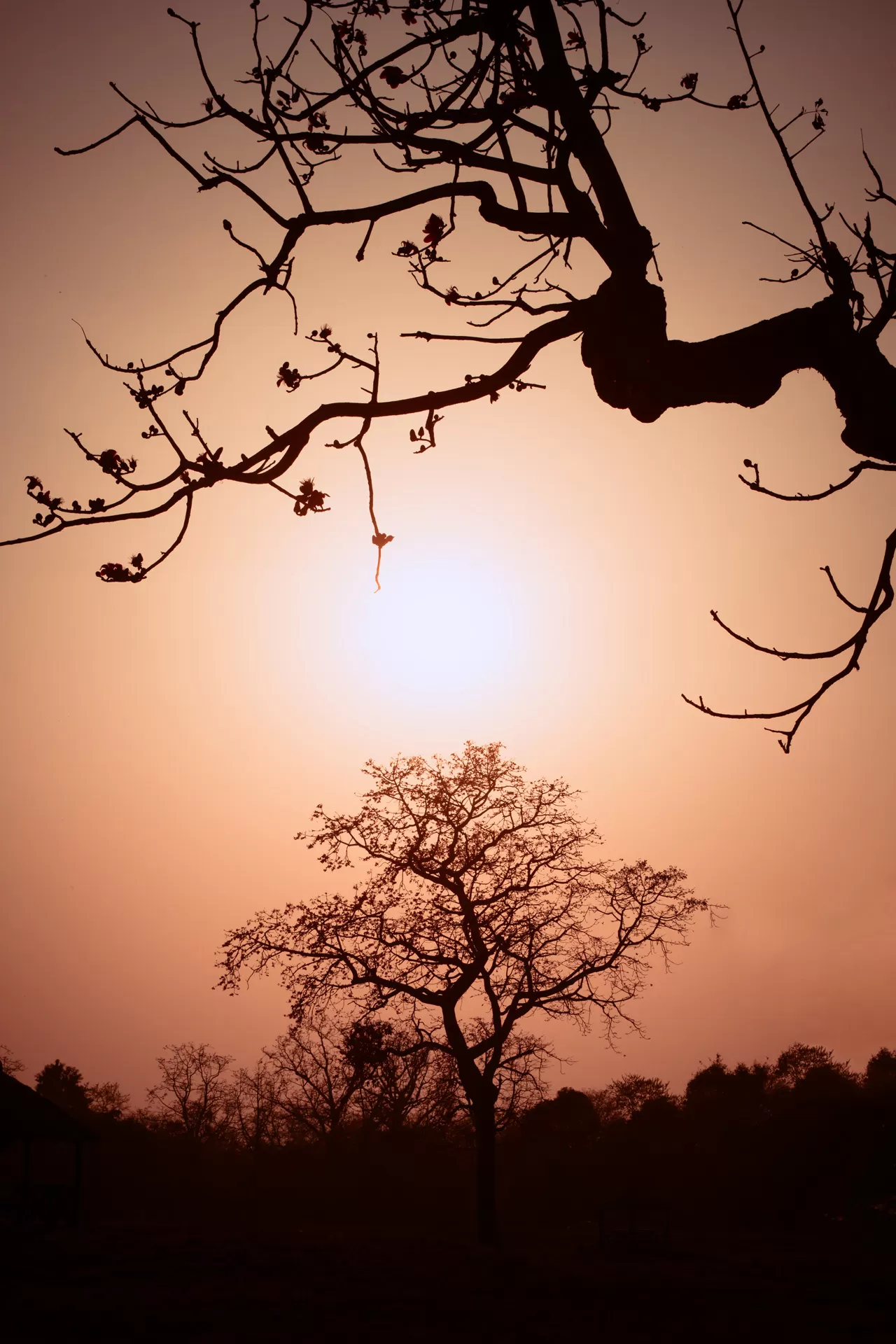 Photo of Katarniaghat Wildlife Sanctuary By Abdullah Saghir Ahmad