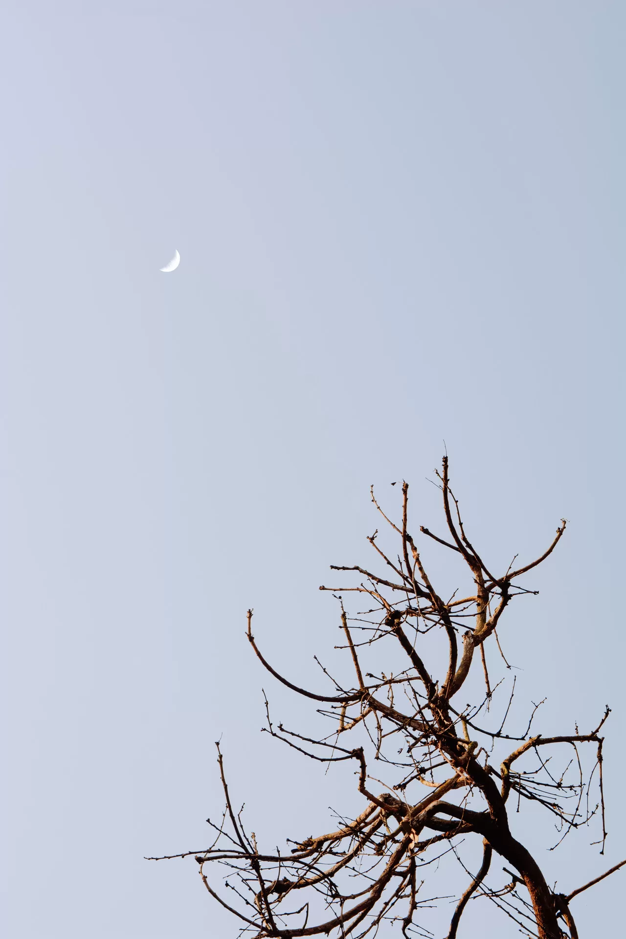 Photo of Katarniaghat Wildlife Sanctuary By Abdullah Saghir Ahmad