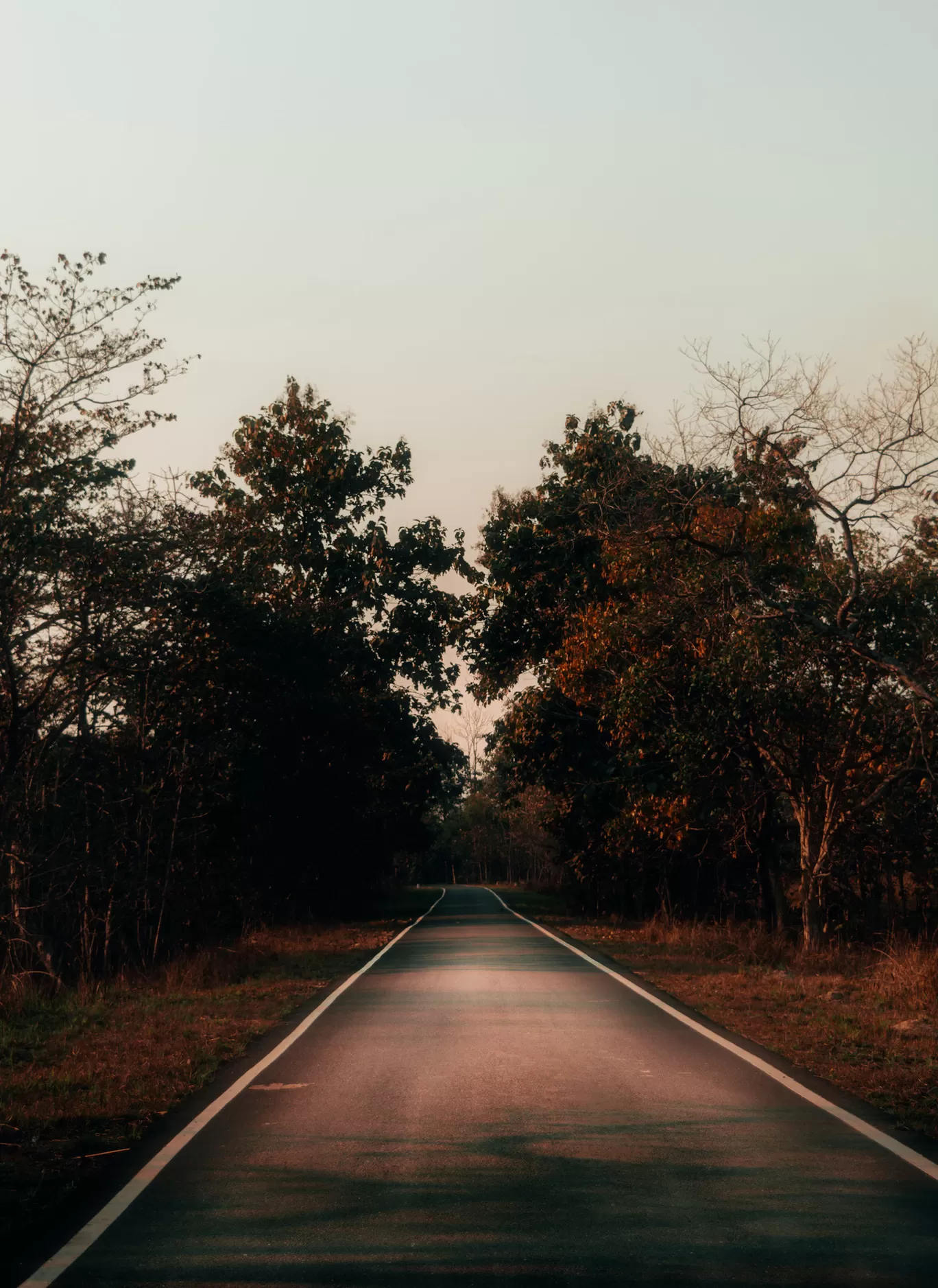 Photo of Katarniaghat Wildlife Sanctuary By Abdullah Saghir Ahmad