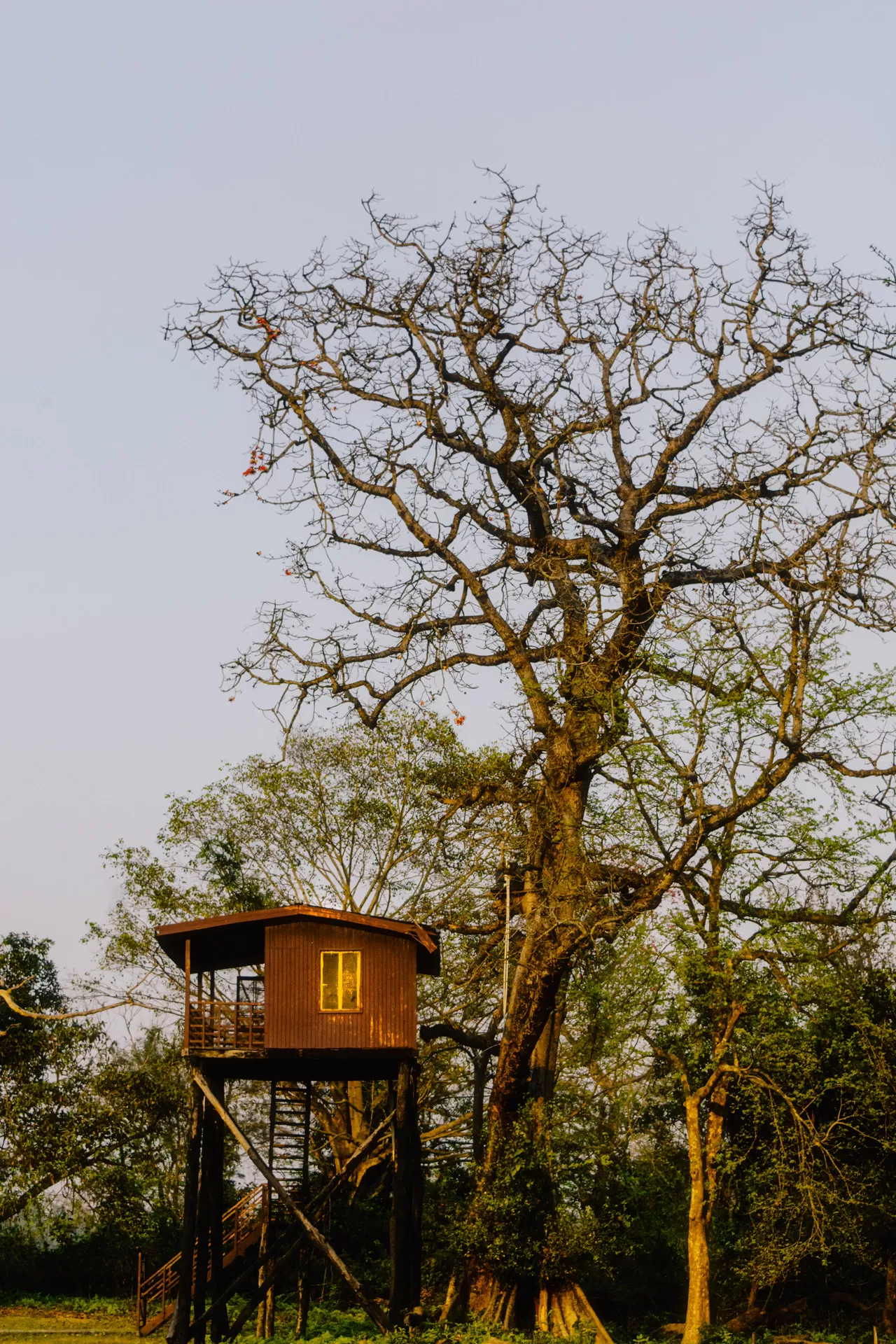 Photo of Katarniaghat Wildlife Sanctuary By Abdullah Saghir Ahmad