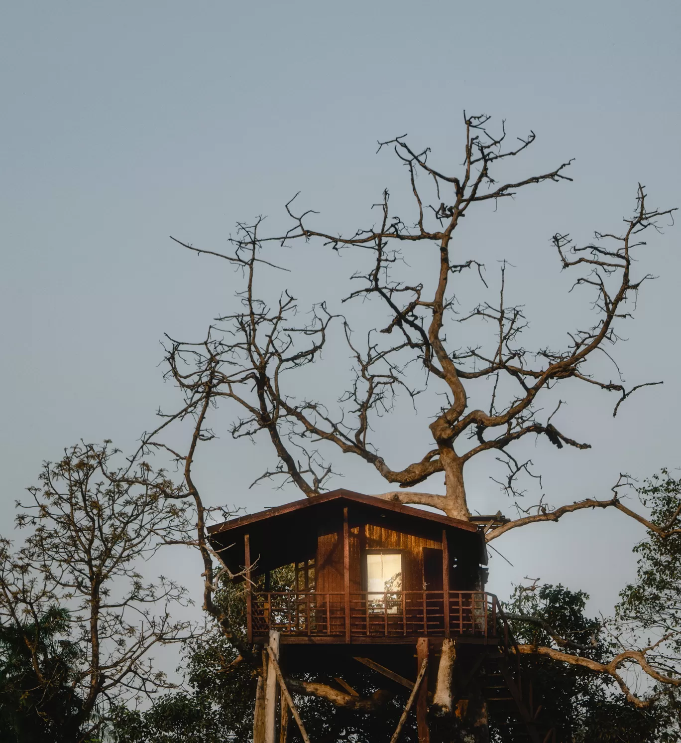 Photo of Katarniaghat Wildlife Sanctuary By Abdullah Saghir Ahmad