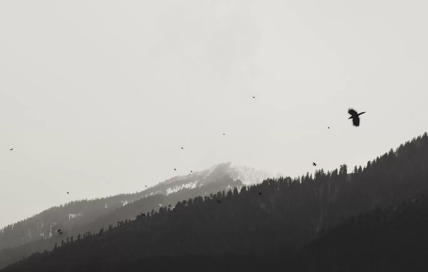Photo of Himalayas By Abdullah Saghir Ahmad