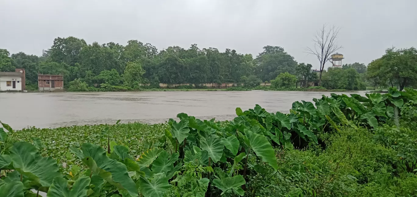 Photo of Gonda By UMESH SAINI