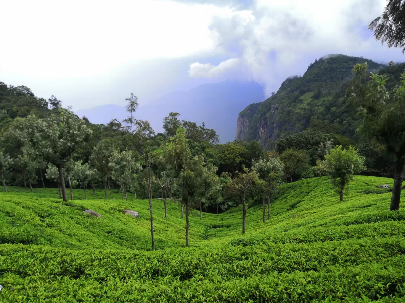 Photo of India By Aparajita