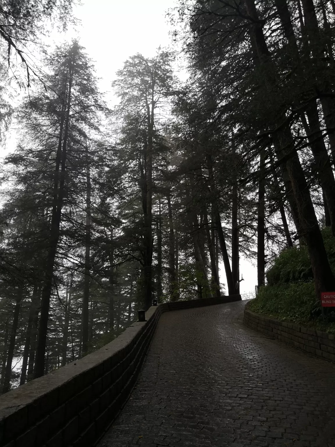 Photo of India By Aparajita
