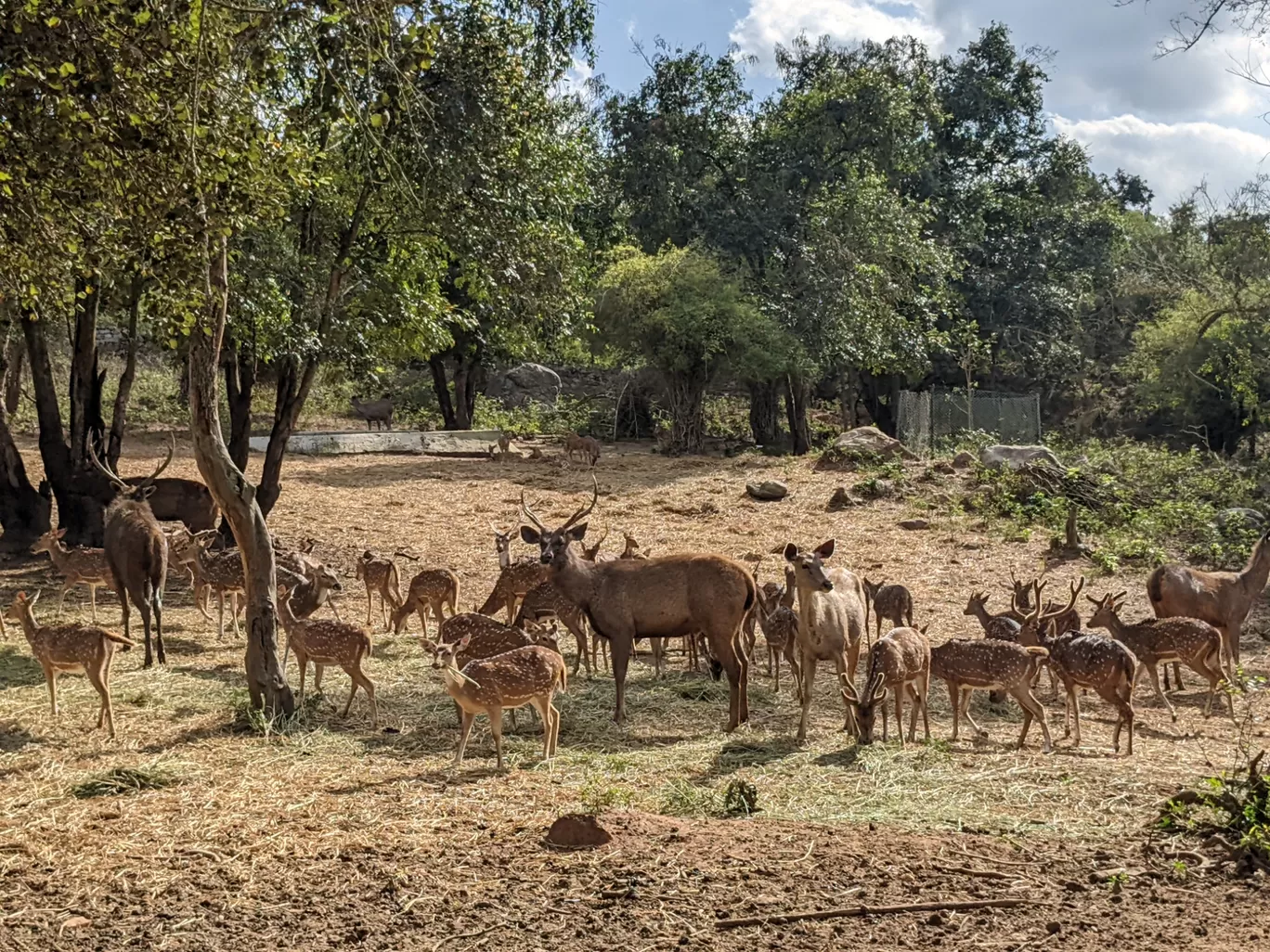 Photo of Bannerghatta National Park By Aparajita