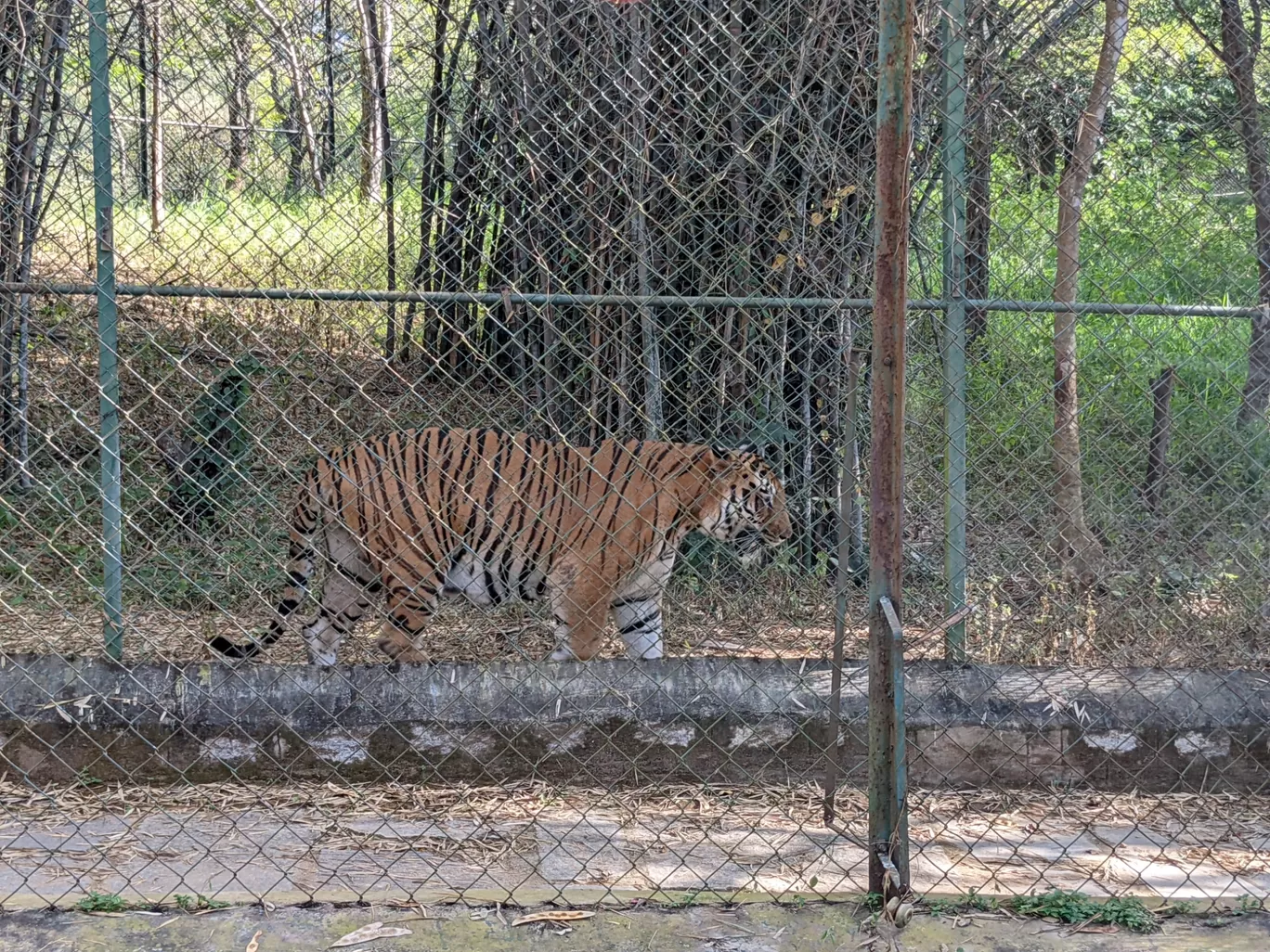 Photo of Bannerghatta National Park By Aparajita