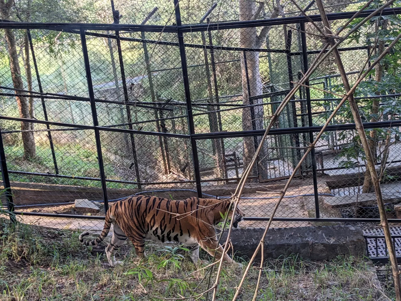 Photo of Bannerghatta National Park By Aparajita