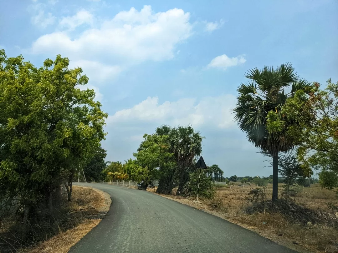 Photo of Mahabalipuram By Aparajita