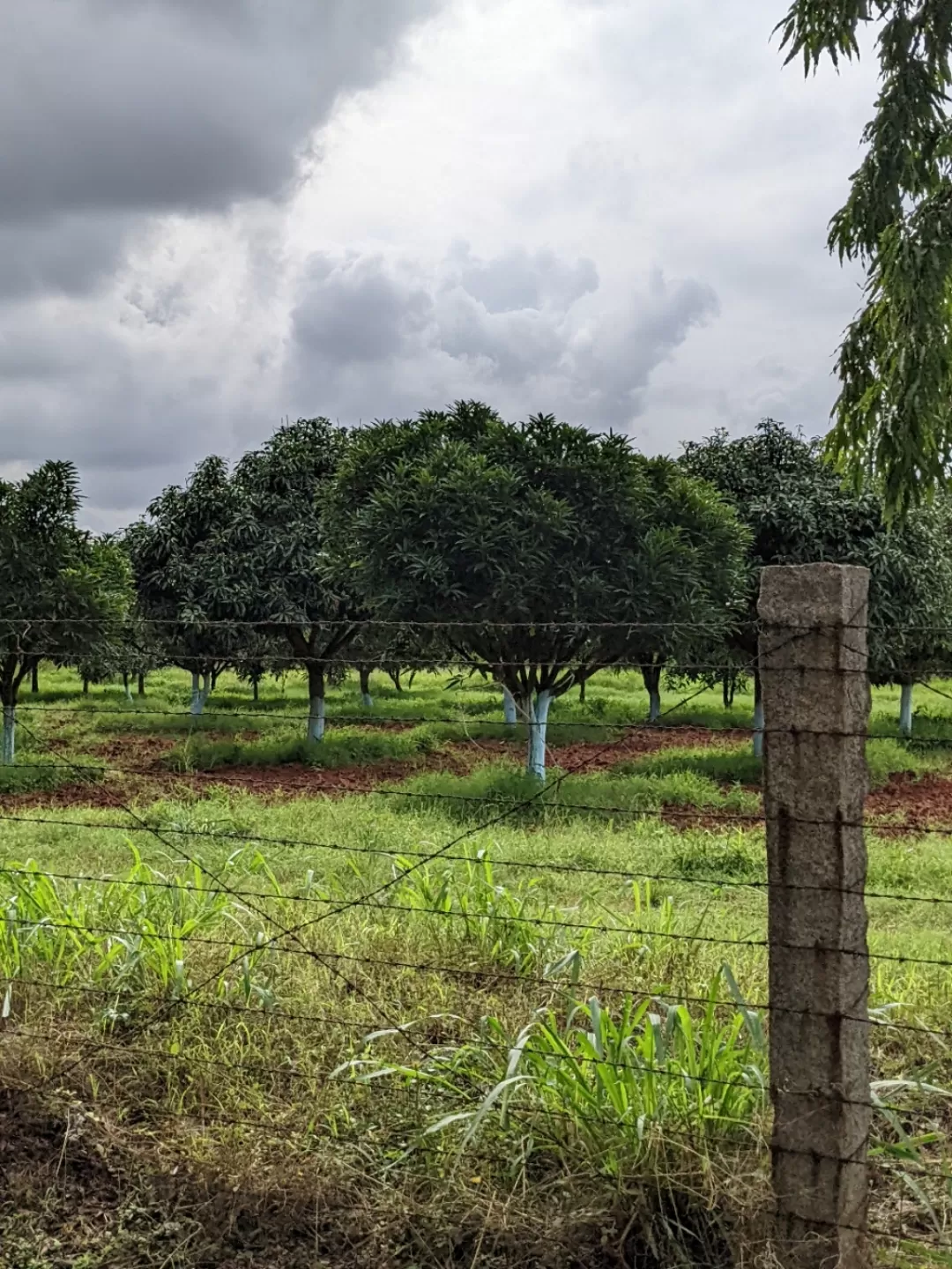 Photo of Hessaraghatta Lake By Aparajita