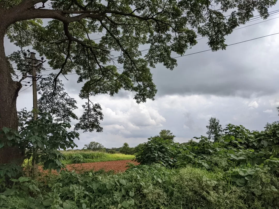 Photo of Hessaraghatta Lake By Aparajita