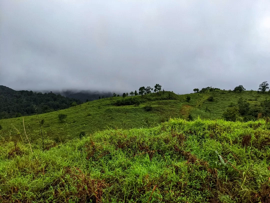 Photo of Kudremukha National Park By Aparajita