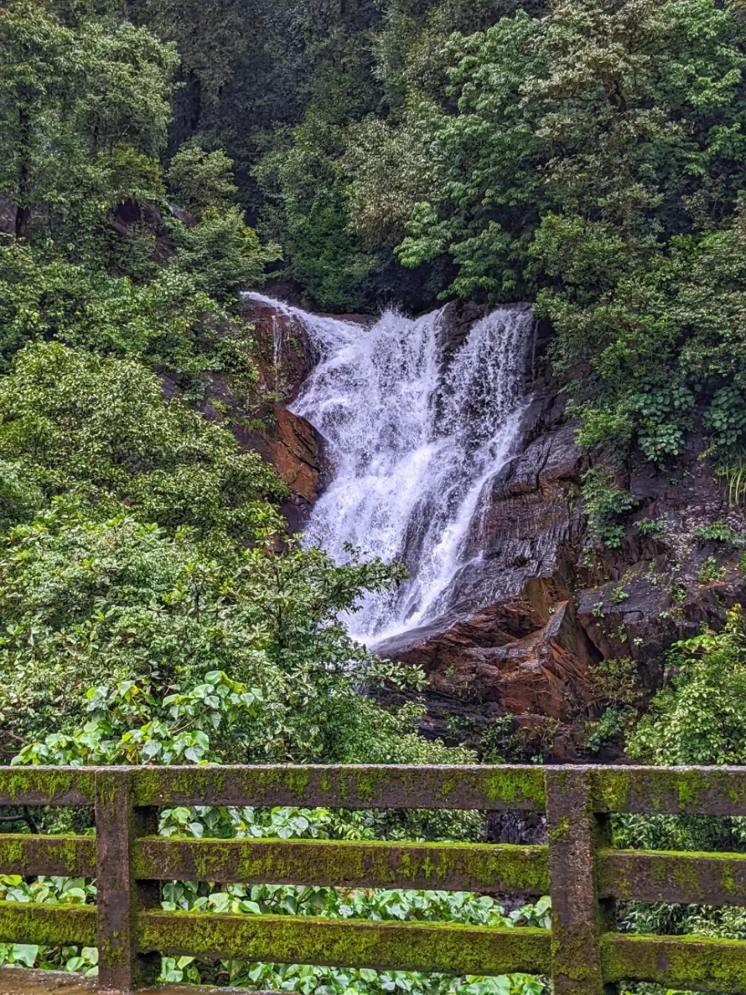 Photo of Kudremukha National Park By Aparajita