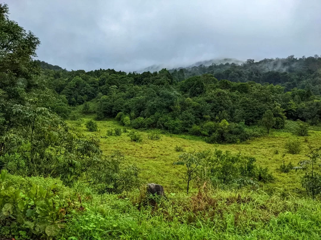 Photo of Kudremukha National Park By Aparajita