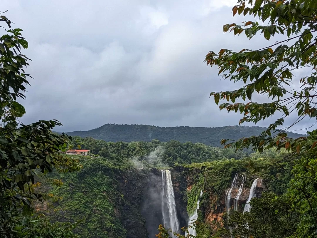 Photo of Jog Falls By Aparajita