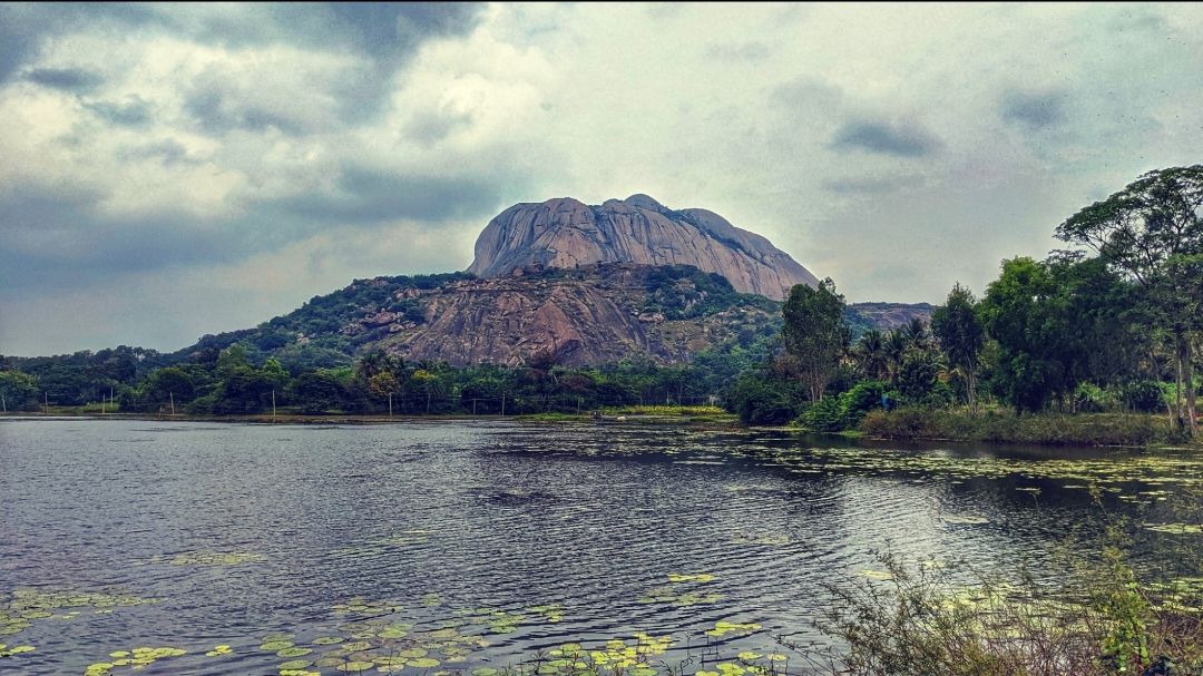 Photo of Savandurga Hill By Aparajita