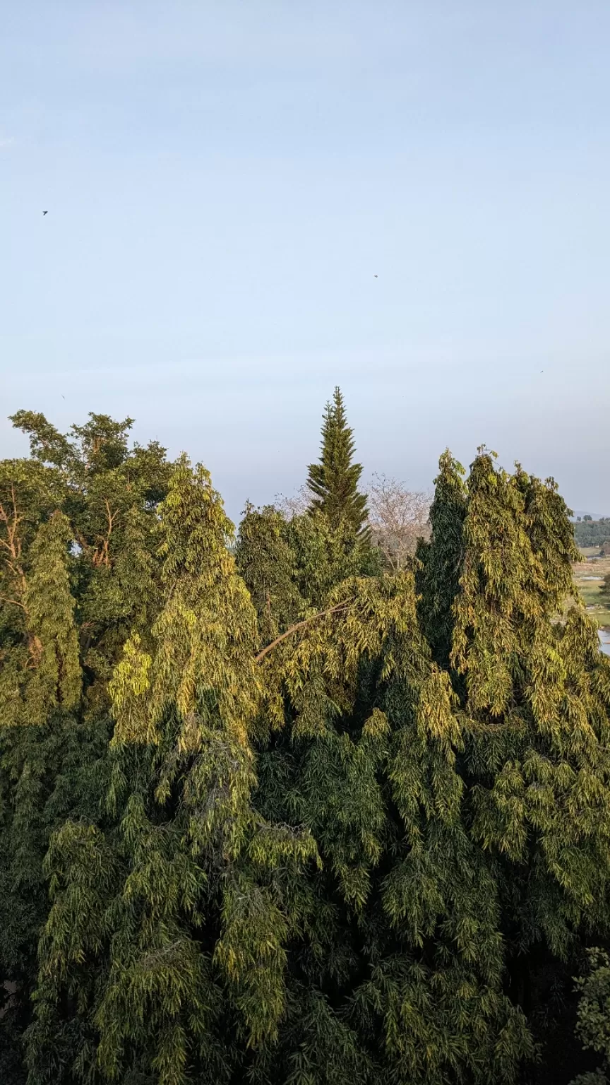 Photo of Markonahalli Dam By Aparajita