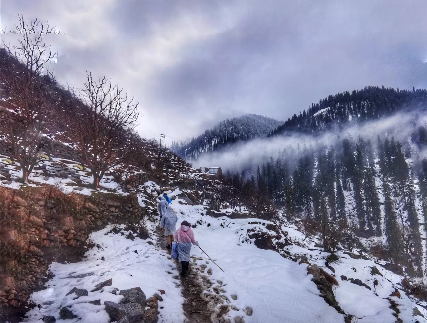 Photo of Kheerganga Trek By pallavi verma