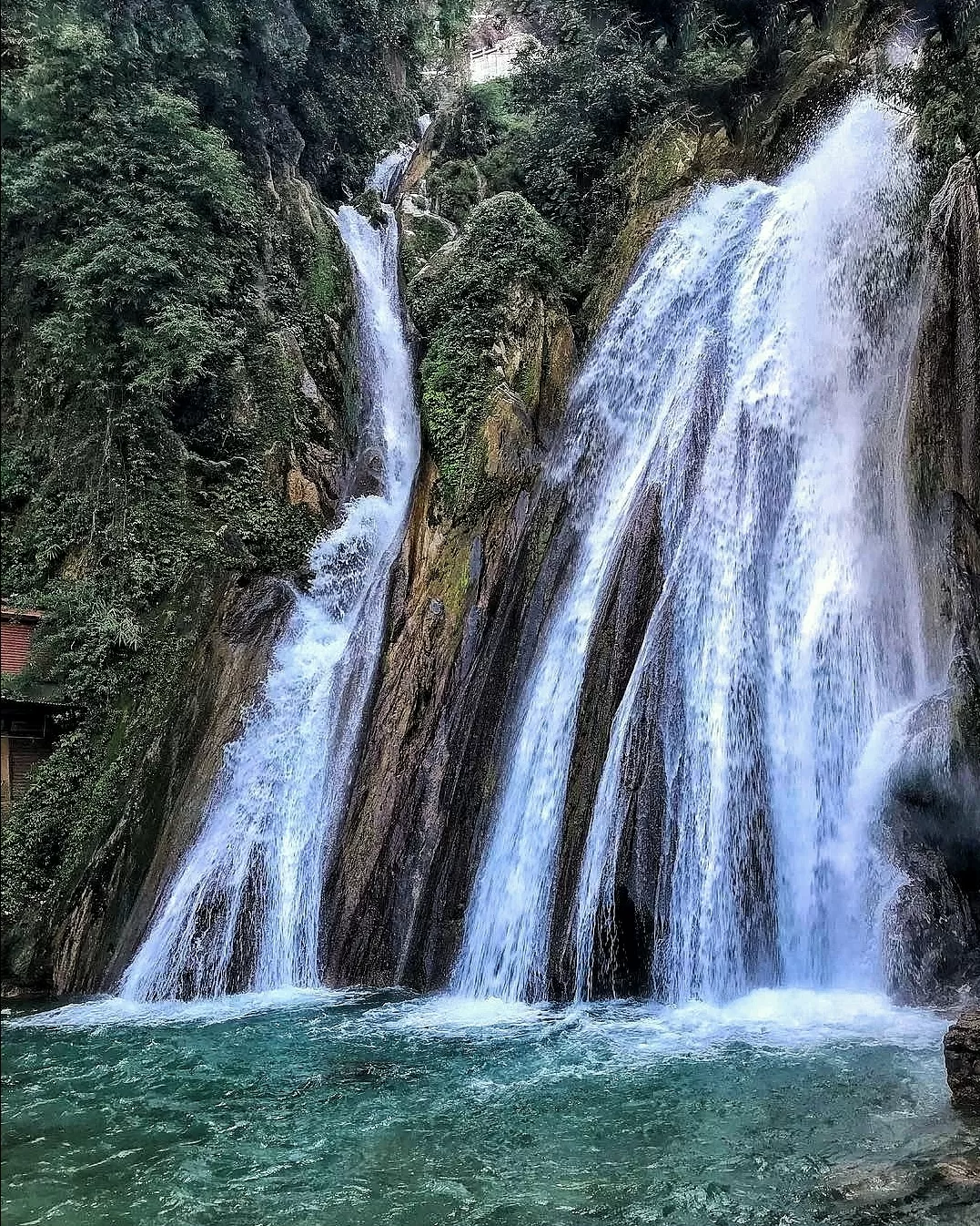 Photo of Masoori By pallavi verma