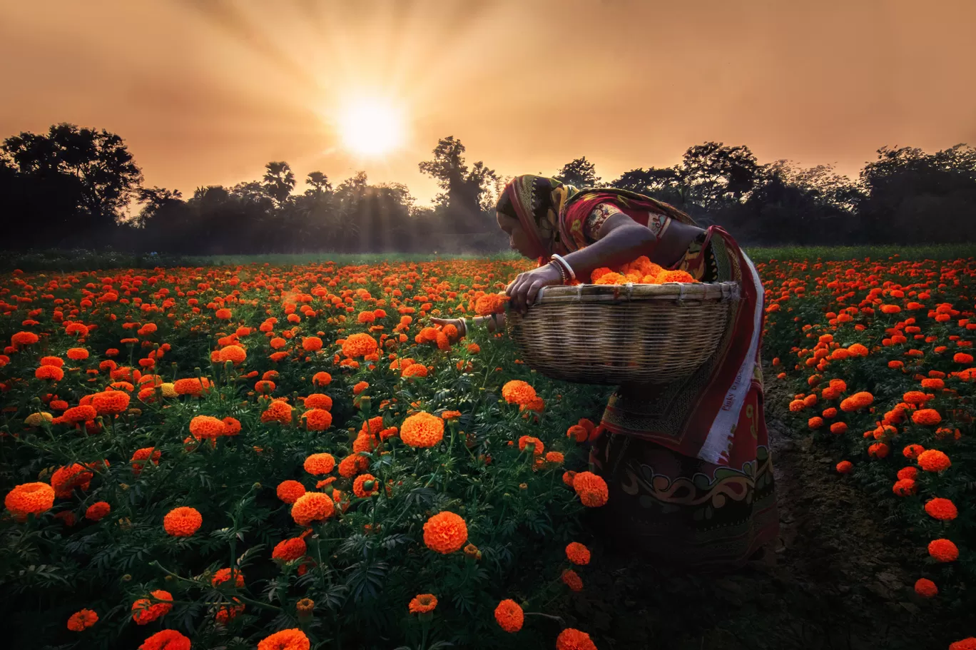 Photo of Khirai Flower Garden By Travel Photography with Goutam
