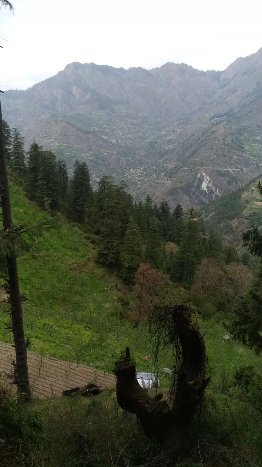 Photo of sainj valley adventures By Rakesh Kumar