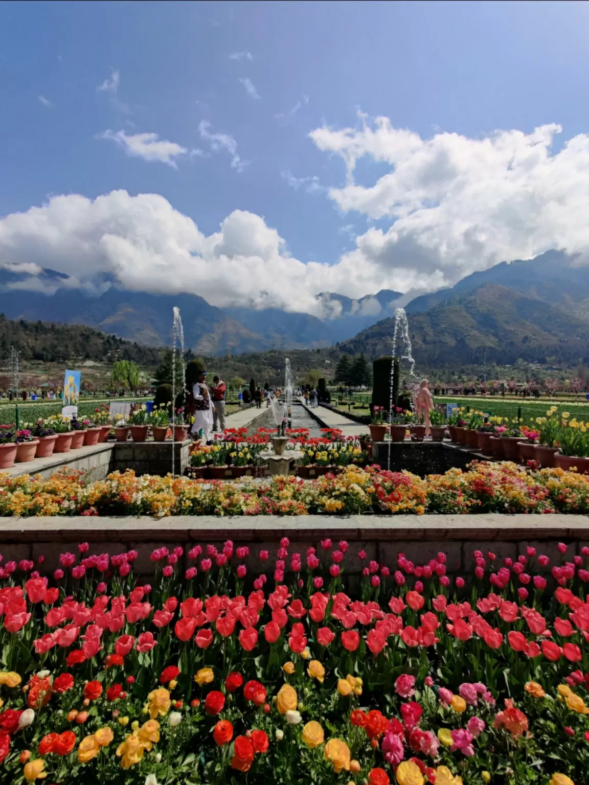 Photo of Tulip Garden By Umer Nazir
