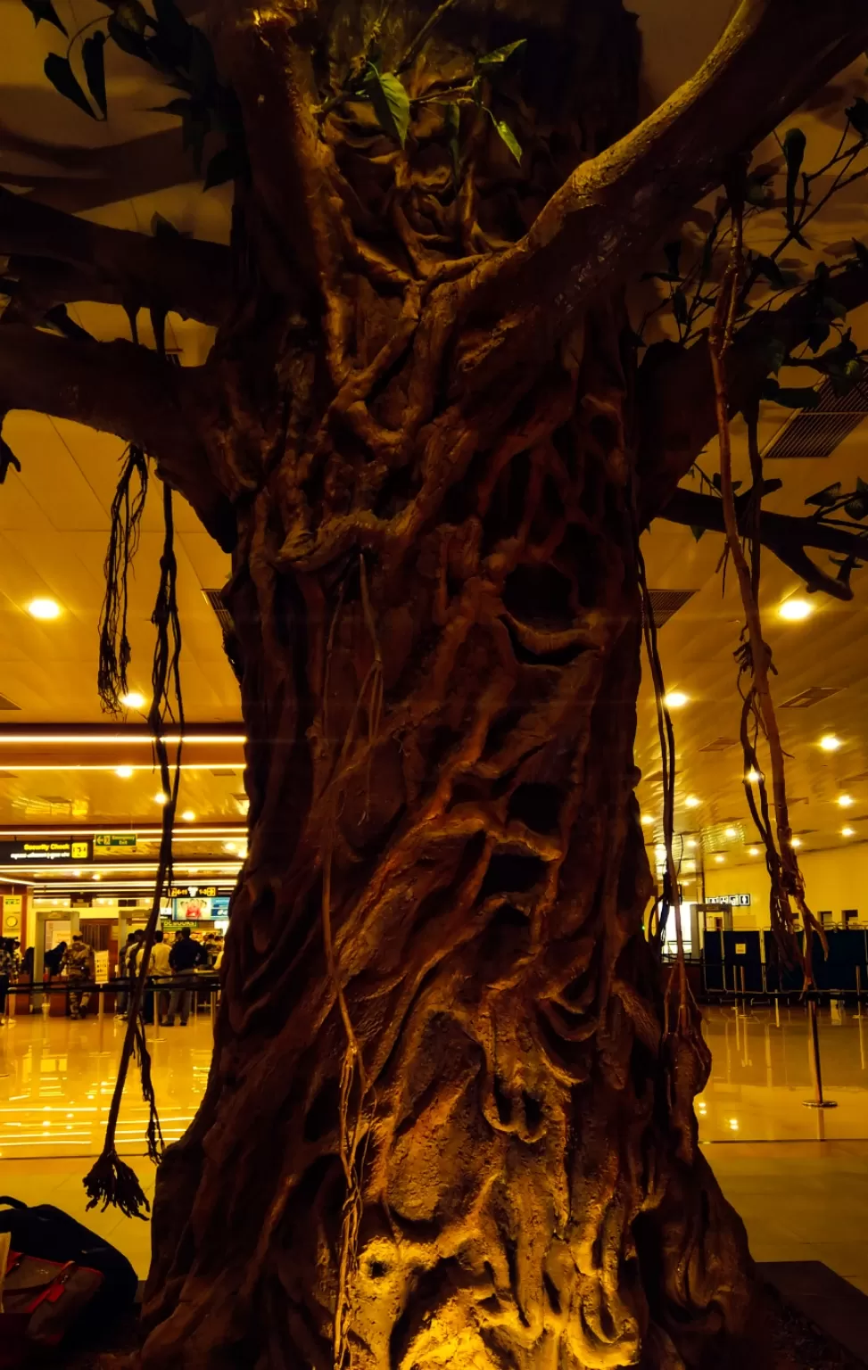 Photo of Cochin International Airport (COK) By the silent traveller