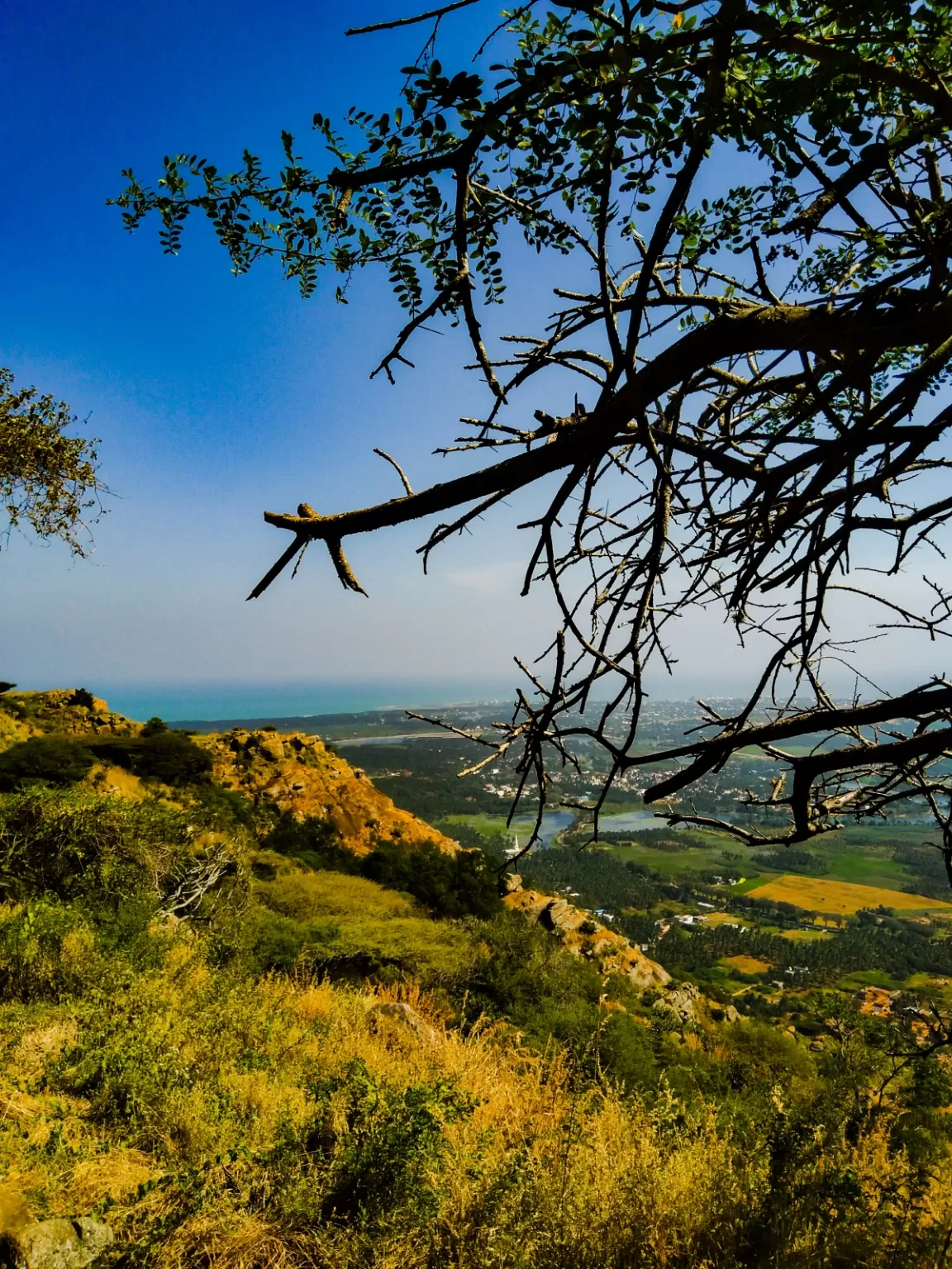 Photo of Nagercoil By the silent traveller