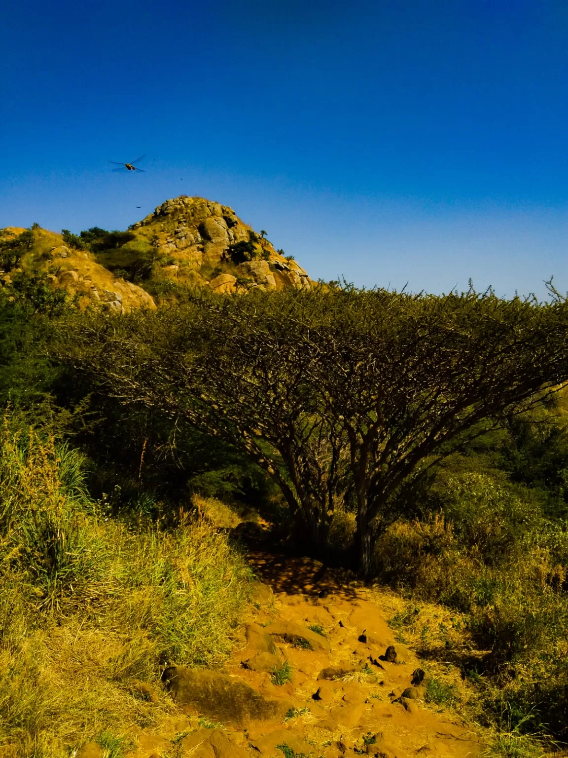 Photo of Nagercoil By the silent traveller