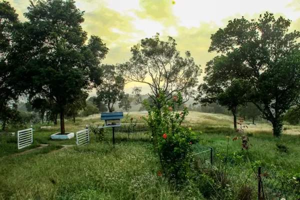 Photo of Sholayur By the silent traveller
