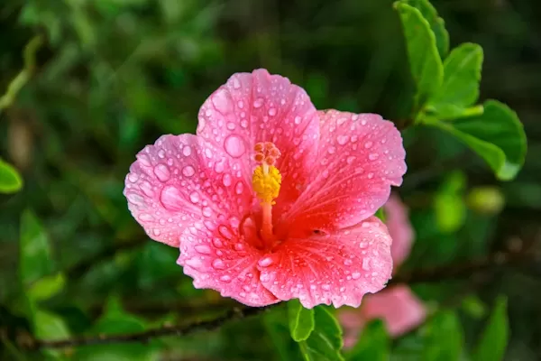 Photo of Sholayur By the silent traveller