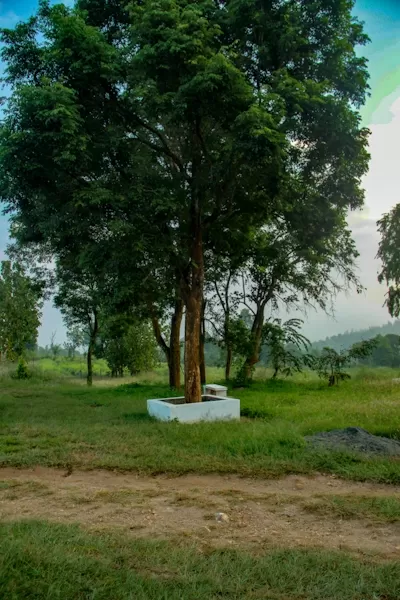 Photo of Sholayur By the silent traveller