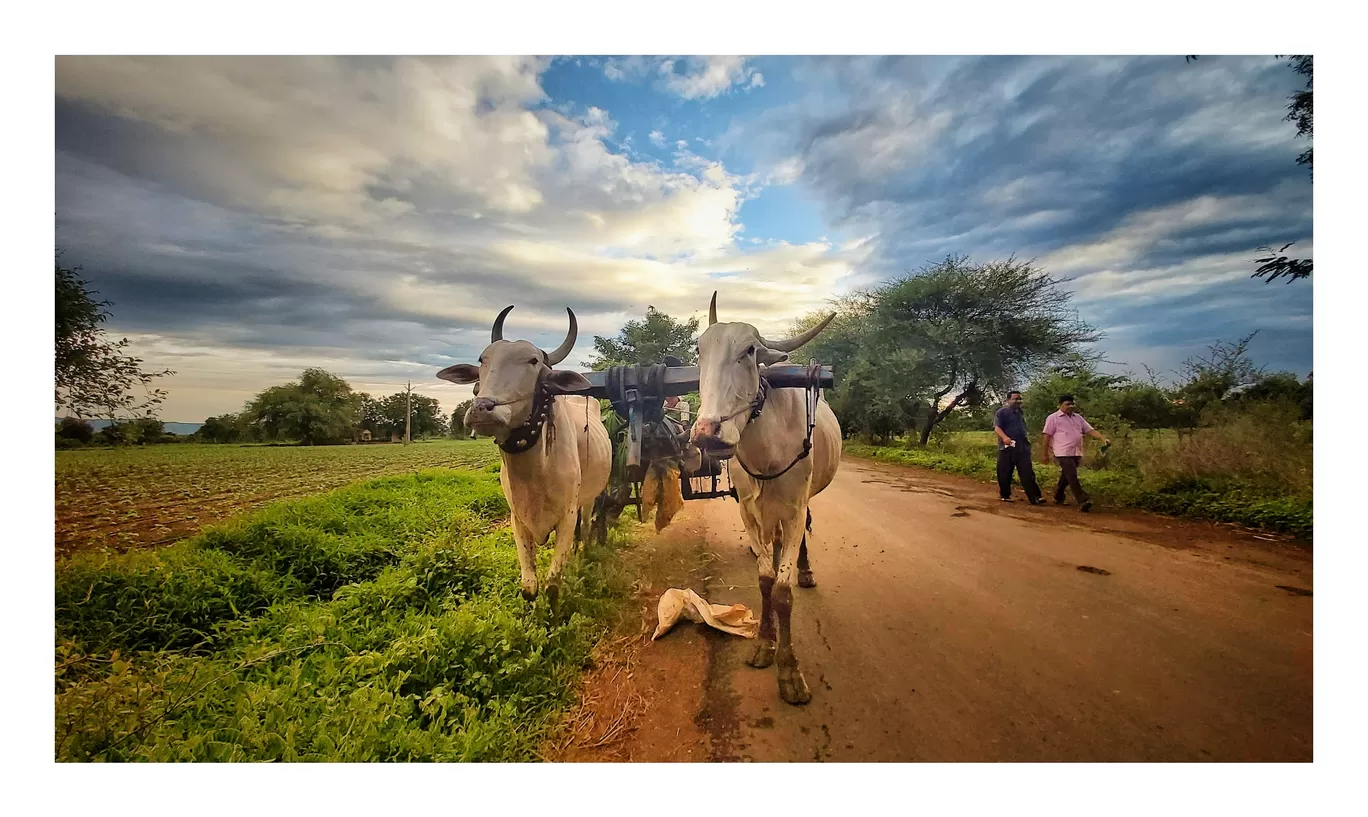 Photo of Chalisgaon By Bhavesh Patil