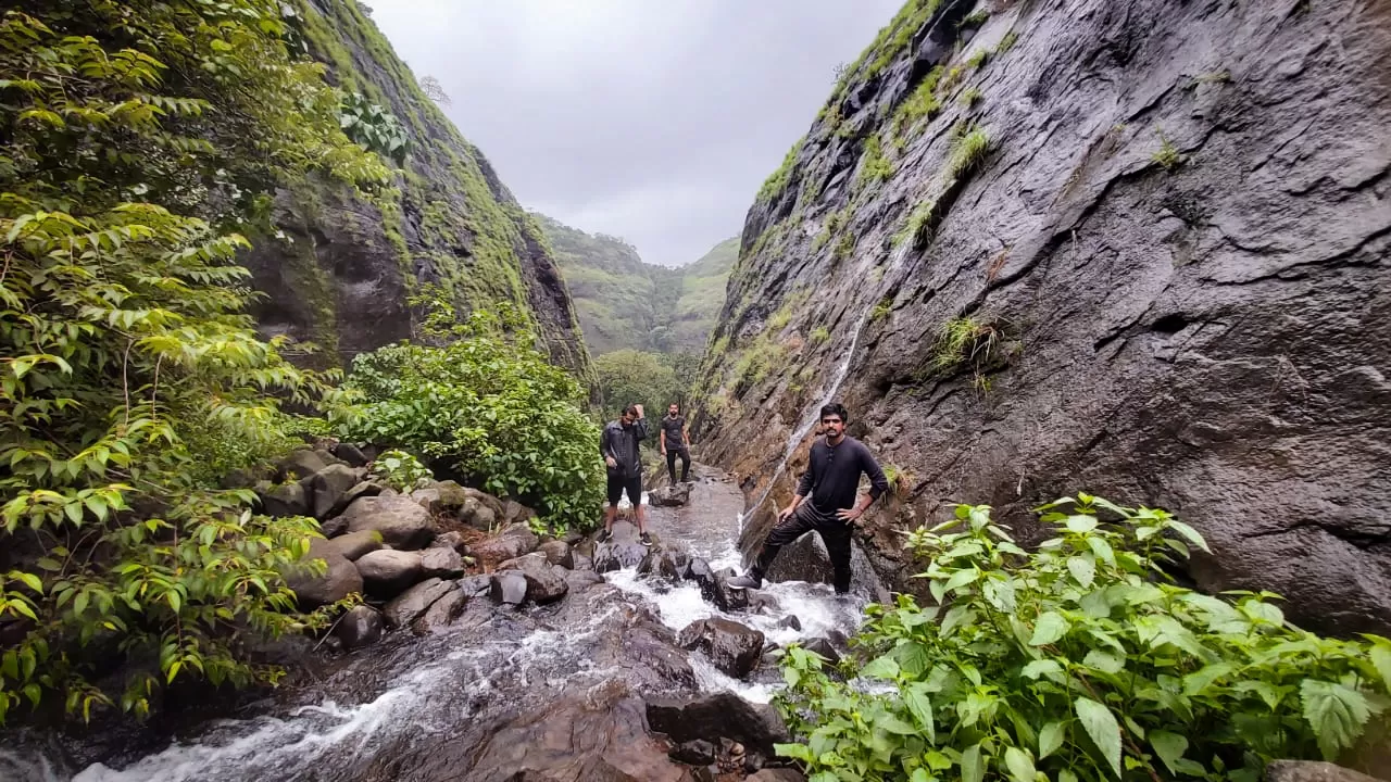 Photo of Plus Valley By Bhavesh Patil