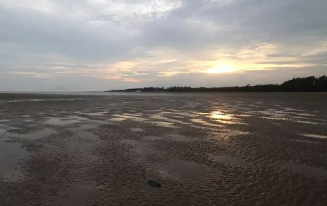 Photo of Chandipur Beach By The Plan B Girl