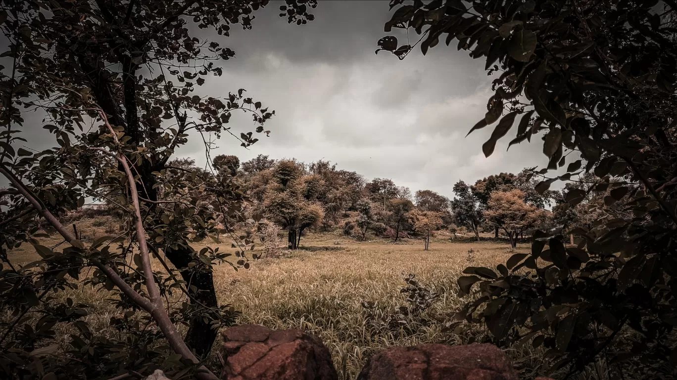 Photo of Merda Khalsa By yash dhoka