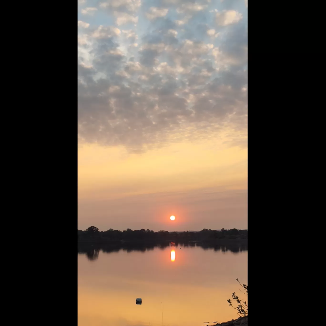 Photo of MP By Rupali Tiwari