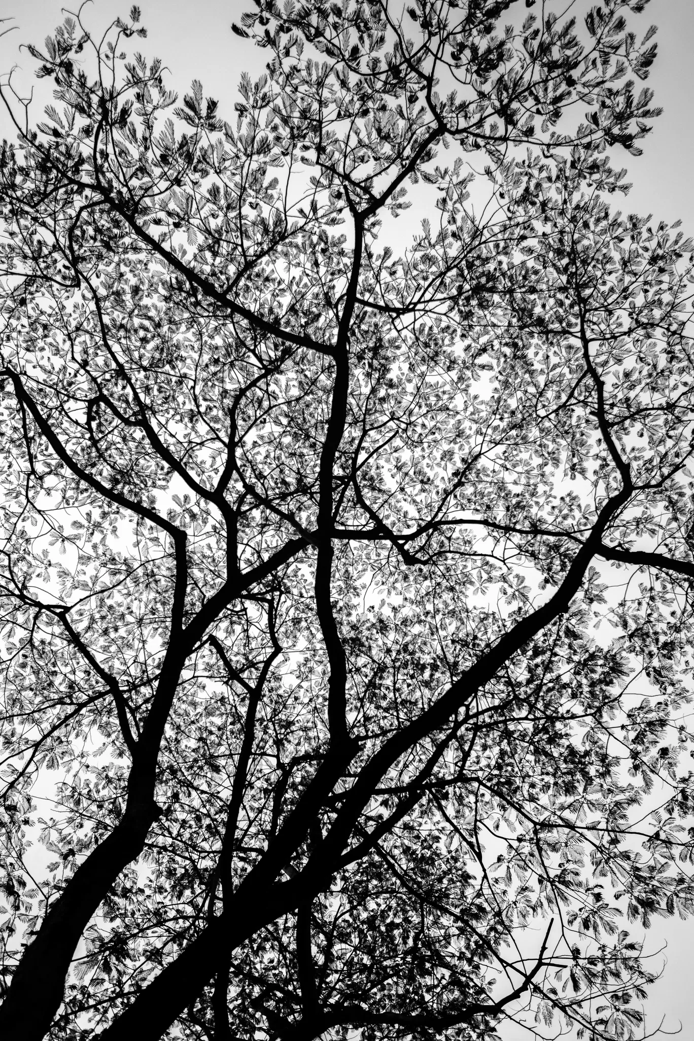 Photo of Wayanad By Swetha Karthik