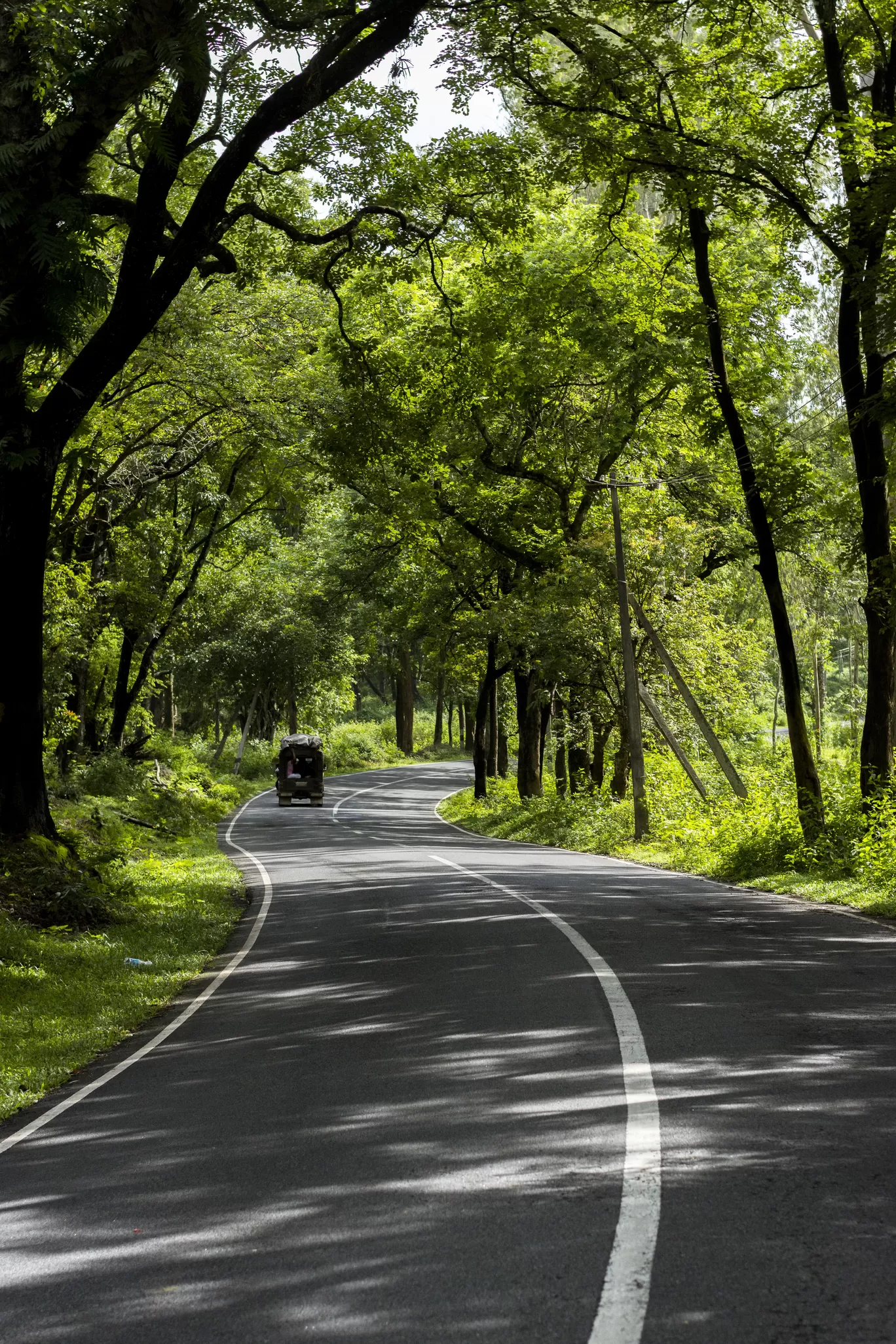 Photo of Wayanad By Swetha Karthik